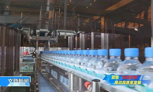 管家式服务助力健康生态饮品项目落地生根 科技中介服务的创新实践