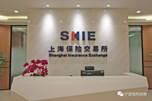 上海保交所科技公司正式落户宁波，开启科技中介服务新篇章