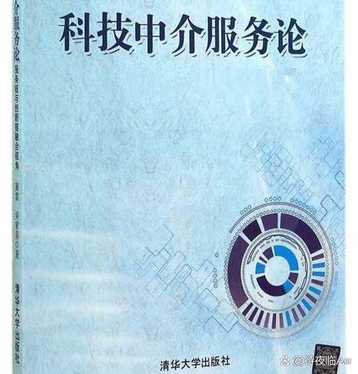 《记录:中介服务类项目的推进》 文/麦安博士