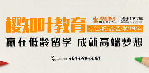 网建科技签约北京樱知叶文化交流，开启科技中介服务新篇章